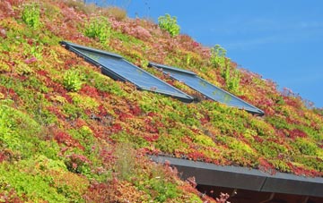 Heath Green living roof systems